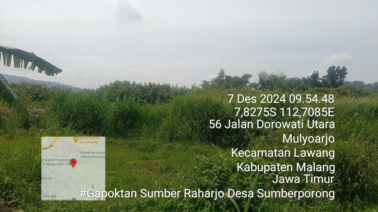 ondisi Lahan Eks Hasil Ruislag Lawang View di Desa Sumberporong Kecamatan Lawang.