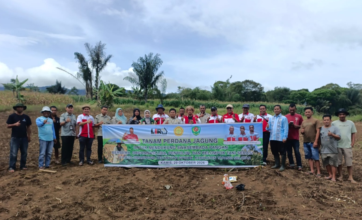 Kegiatan Tanam Perdana Jagung DPD LIRA Tapsel, LIRA Sipirok, Warga dan Kelompok Tani di Desa Simaninggir