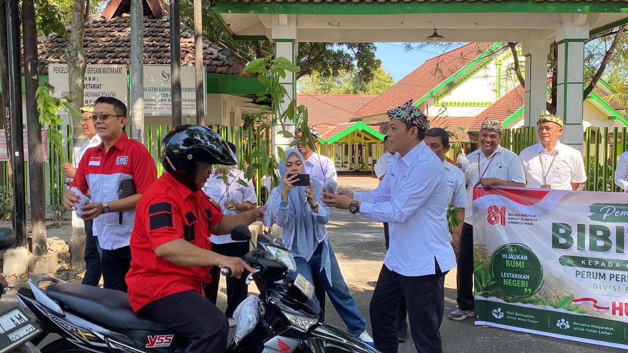 Pembagian bibit tanaman gratis oleh DPD LIRA Bondowoso bersama Perhutani KPH Bondowoso